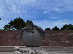 -广东惠东海龟国家级自然保护区