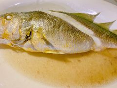 -胖大嫂渔家排档·全海景餐厅(渔村店)