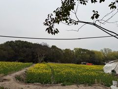 -动邦皮划艇·桨板·独木舟·团建户外运动俱乐部