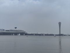 -吴淞炮台湾湿地森林公园烧烤区