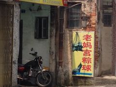 -老妈宫粽球