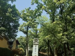 -灵谷景区
