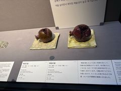 -东京国立博物馆