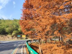 -南京市无想山景区