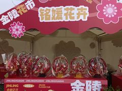 -七桥瓮公园