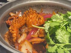 -禄婶鸡煲·打边炉