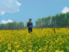-君乐宝优致牧场
