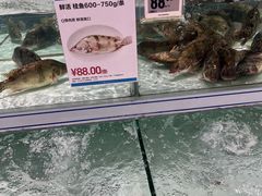 -盒马X会员店(上海森兰商都店)