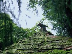 -青城山