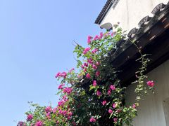 -鸣鹤古镇