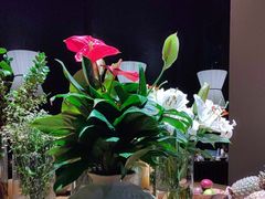 -Ameigo梅果·云贵川bistro(长宁来福士店)