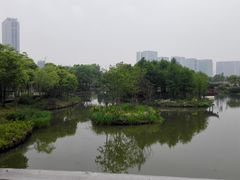 -尚贤河湿地