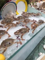 -阳光五洲大酒店·宴会厅