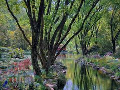 -上海共青森林公园