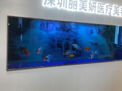 -丽美妍医疗美容·皮秒·立体分层抗衰