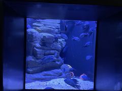 -成都浩海立方海洋公园