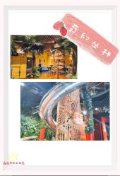 -奇幻丛林(佛罗伦萨小镇店)