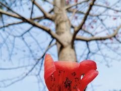 -白沙门生态公园