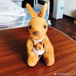 -上海艾儿贝佳妇产科医院