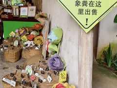 -大象粑粑造纸公园