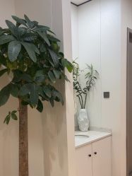-郑荃丽格医疗美容