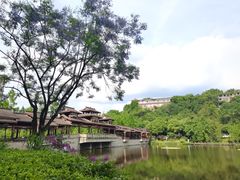 -重庆彩云湖湿地公园
