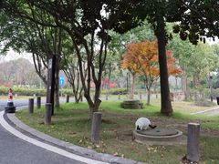 -宝界山林公园