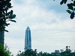 -福田红树林生态公园