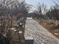 -八大山人梅湖景区
