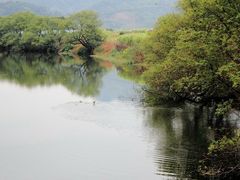 -花岩国家森林公园