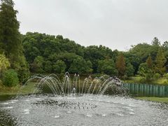 -鄱阳湖国家湿地公园