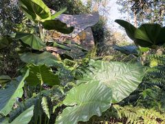 -海南热带野生动植物园