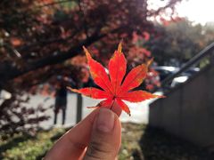 -炎黄艺术馆