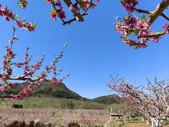 -秀水家园农家院住宿团建(石林峡店)
