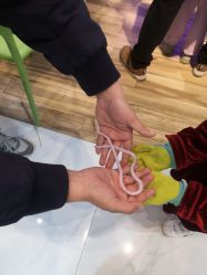 -Moni星球萌宠·小马宝莉·灵蛇·高端高阶全萌宠互动体验俱乐部(红豆国际广场店)