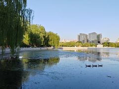 -莲花池公园