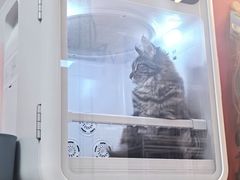 -宠物梦想家(日月豪庭店)