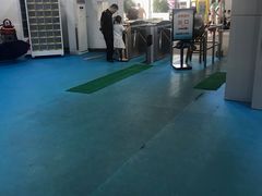 -温州体育中心游泳馆