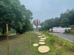 -铁山坪森林公园