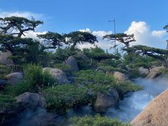 -罗红摄影艺术馆