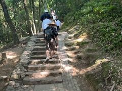 -灵顺寺