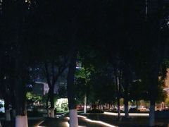 -西北湖绿化广场