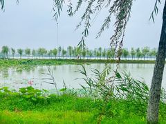 -艾溪湖湿地公园