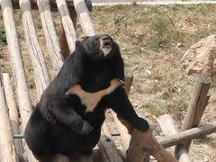 -大连森林动物园