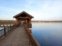 -天津东丽湖风景区