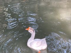 -兰亭风景区