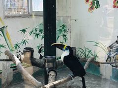 -西霞口神雕山野生动物世界