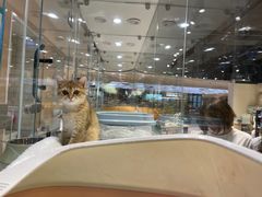 -Awfully Chocolate(嘉里城店)