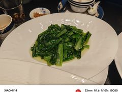 -凤凰湘语(浦东旗舰店)