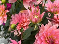 -上海植物园-4号门售票处